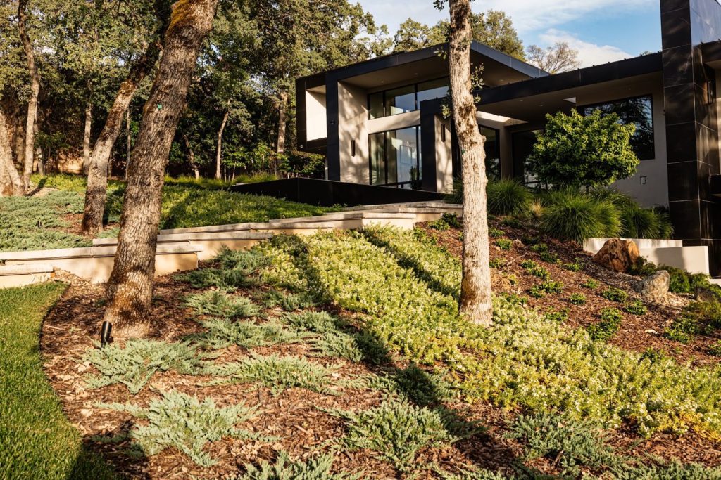 Retaining walls on a sloped foothill property with native planting